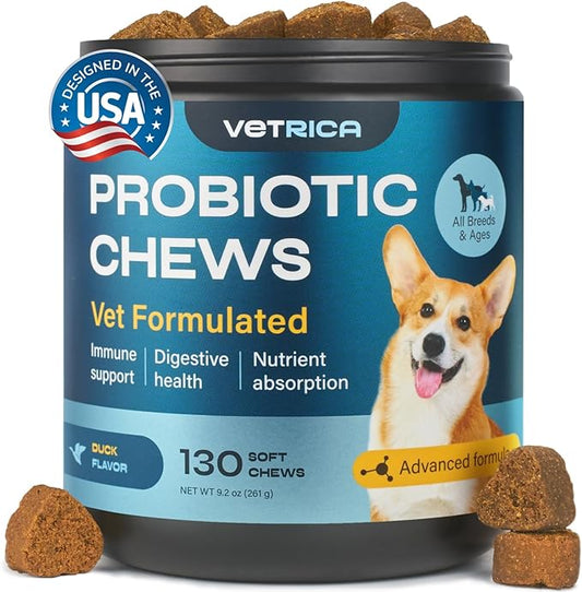 Probiotics for Dogs - Dog Probiotics for Digestive Health - Probiotic Chews for Dogs with Digestive Enzymes - Dog Gut Health Probiotics - Pet Probiotics for Dogs Gut Health Digestive