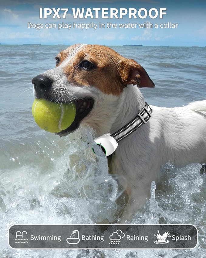 Dog Shock Collar for 2 Dogs, Dog Training Collar with Remote for Large Medium Small Dogs, Rechargeable E-Collar Waterproof Collars with 3 Training Modes, Range up to 3300Ft-Grey
