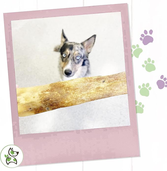 Nature Gnaws - Hide Sticks for Dogs - Premium Natural Beef Dental Bones - Long Lasting Dog Chew Treats for Aggressive Chewers - Puppy Training Reward (Pack of 2)