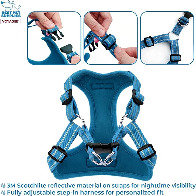 Best Pet Supplies Voyager Adjustable Dog Harness with Reflective Stripes for Walking, Jogging, Heavy-Duty Full Body No Pull Vest with Leash D-Ring, Breathable All-Weather - Harness (Turquoise), M
