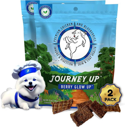 Journey Up Berry Glow Up, Chicken and Blueberry Dog Jerky Treats Made in USA with Prebiotics for Gut & Immune, Omega 3s & 6s for Skin & Coat, Antioxidants for Healthy Aging, Small-Large Dog, 12 oz.