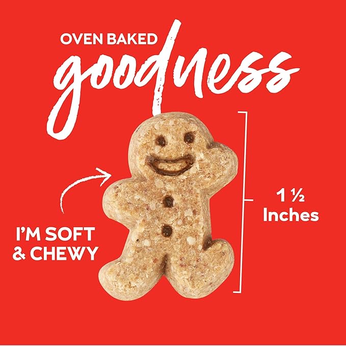 Buddy Biscuits Softies 5 oz Pouch, Grain-Free Soft & Chewy, Natural Grilled Beef Flavor Dog Treats, Oven Baked in The USA