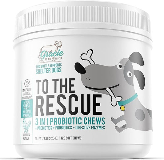 Probiotic Chews for Dogs, Support Digestive Health, Dog Probiotics and Digestive Enzymes, Dog Probiotic Chews, Probiotic Dogs, Puppy Probiotic, Pet Probiotics for Dogs - 120 Soft Chews