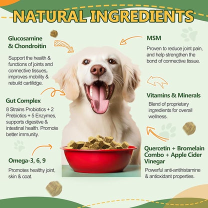 Dog Multivitamin - Multivitamin for Dogs - with MSM & Glucosamine, Omegas 3 & 6, Probiotics for Digestive Health, Joint Support, Skin & Coat, Immune System & Overall Health – 120 Soft Chews