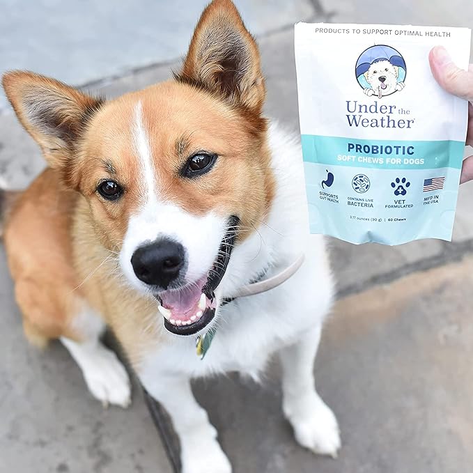Under the Weather Pet Soft Dog Chew Supplements for Calming and Probiotics | Supports Relaxation and Normal Emotional Balance in Dogs (Probiotics, 120 Count)