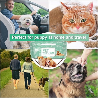 Air Jungles 3in1 Pet Wipes for Dogs and Cats 100 Count, 8" x 10" Extra Large Hypoallergenic Cleaning, Grooming, Deodorizing Wipes for Pets Paws Body Face Ear Butt