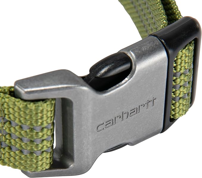 Carhartt Fully Adjustable Nylon Webbing Collars for Dogs, Reflective Stitching for Visibility, Light Moss (Nylon Webbing), Large