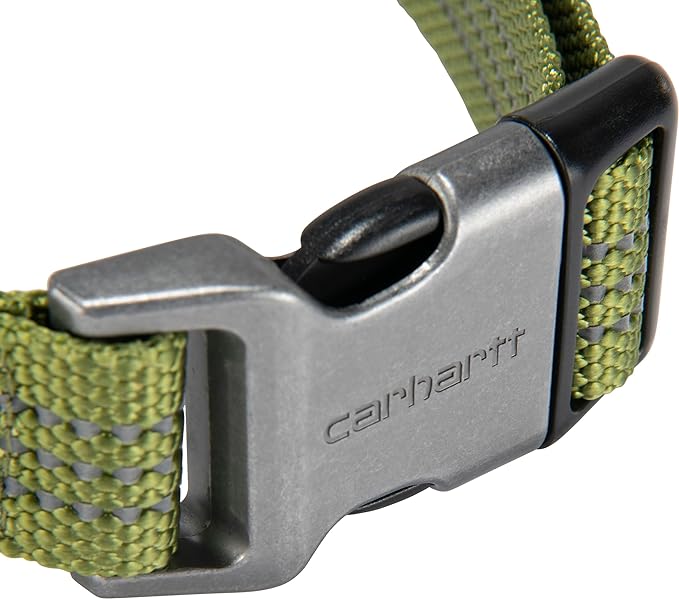 Carhartt Fully Adjustable Nylon Webbing Collars for Dogs, Reflective Stitching for Visibility, Light Moss (Nylon Webbing), Medium