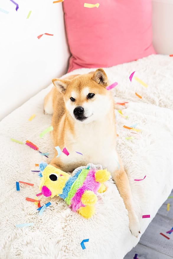 Pearhead Puppy Pinata Dog Toy, Rope Tug Toy for Dogs, Colorful Interactive Dog Toys, Party Pinata Toy for Dogs, Plush Chew Toy, Pet Owner Must Have Toy