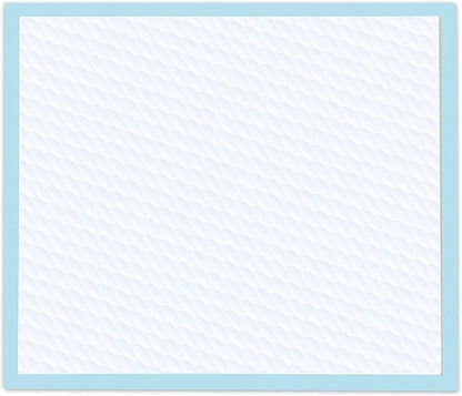 Four Paws Wee-Wee Superior Performance Pee Pads for Dogs of All Sizes, Leak-Proof Floor Protection Dog & Puppy Quilted Potty Training Pads, Unscented, 22" x 23" (10 Count)