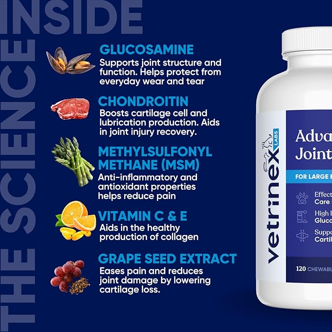Joint Support Supplement for Large Dogs - Hip and Joint Chewable Tablets for Large Breed Dogs with Glucosamine, Chondroitin, and MSM, Beef Flavor, 120 Tablets