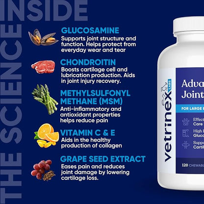 Joint Support Supplement for Large Dogs - Hip and Joint Chewable Tablets for Large Breed Dogs with Glucosamine, Chondroitin, and MSM, Beef Flavor, 120 Tablets