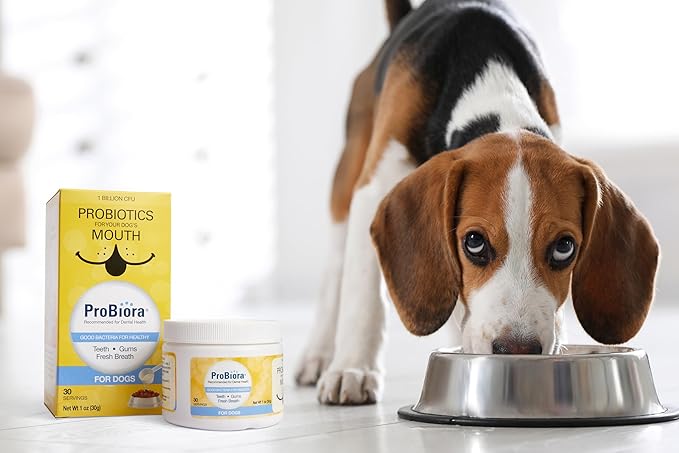 Probiora for Dogs | Dog Probiotic Supplement for Oral Care | Pet Probiotics to Reduce Bad Breath | Dog Nutritional Supplement for Dental Health | 30 Servings (Pack of 2, Jar)