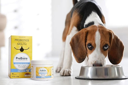 Probiora for Dogs | Dog Probiotic Supplement for Oral Care | Pet Probiotics to Reduce Bad Breath | Dog Nutritional Supplement for Dental Health | 30 Servings (Pack of 2, Jar)