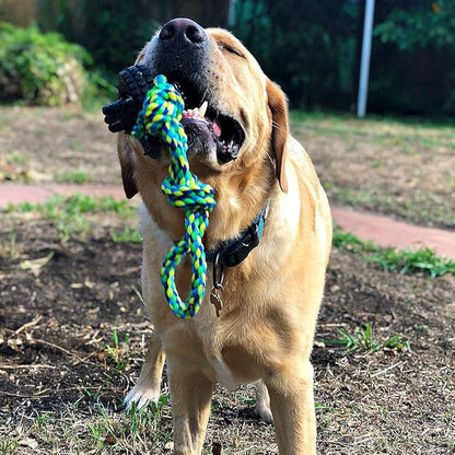 Pet Qwerks X-Tire Ball Dog Toys - Tug & Toss Interactive Chew Toy - Small