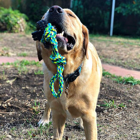 Pet Qwerks X-Tire Ball Dog Toys - Tug & Toss Interactive Chew Toy - Small
