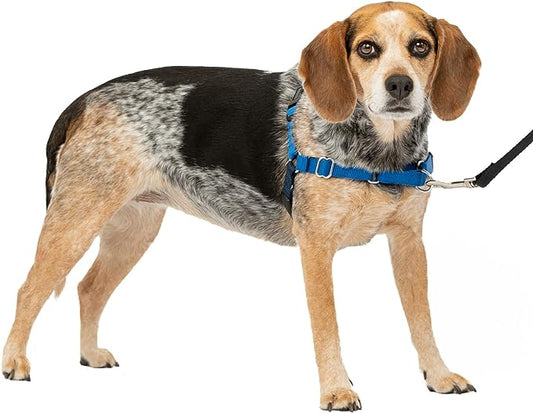 PetSafe Easy Walk No-Pull Dog Harness - The Ultimate Harness to Help Stop Pulling - Take Control & Teach Better Leash Manners - Helps Prevent Pets Pulling on Walks - Small/Medium, Royal Blue/Navy Blue