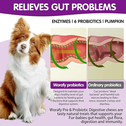 Probiotics for Dogs,Dog Probiotics Digestive Health,Dog Probiotic Chews with Digestive Enzymes for Gut Flora Gut Health,Dog Probiotics for Small,Medium,Large Dogs,120 Count,Peking Duck Flavor