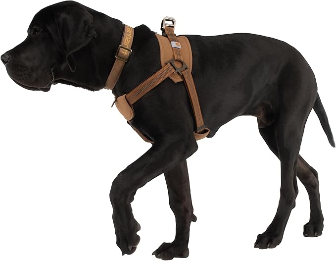 Carhartt Nylon Duck Training Dog Harness, Carhartt Brown, Medium
