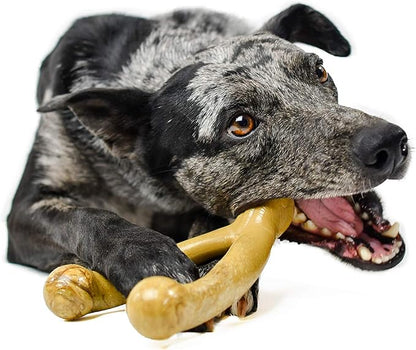 Pet Qwerks Wishbone BarkBone - Nylon Chew Toy for Aggressive Chewers - Peanut Butter Flavor - 6.75"