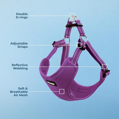 Best Pet Supplies Voyager Adjustable Dog Harness with Reflective Stripes for Walking, Jogging, Heavy-Duty Full Body No Pull Vest with Leash D-Ring, Breathable All-Weather - Harness (Purple), L