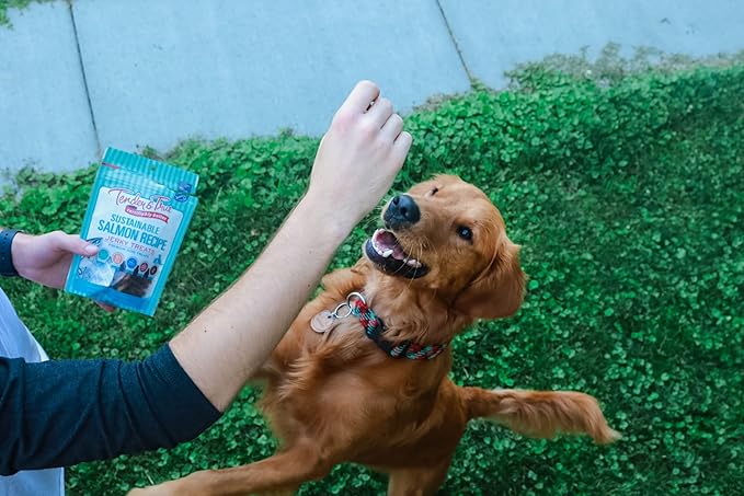 Tender & True Pet Nutrition Sustainable Salmon Recipe Jerky blue bag 4 ounces (Pack of 2)