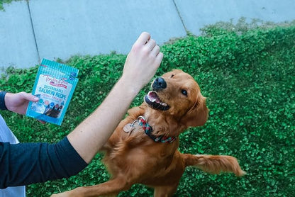 Tender & True Pet Nutrition Sustainable Salmon Recipe Jerky blue bag 4 ounces (Pack of 2)