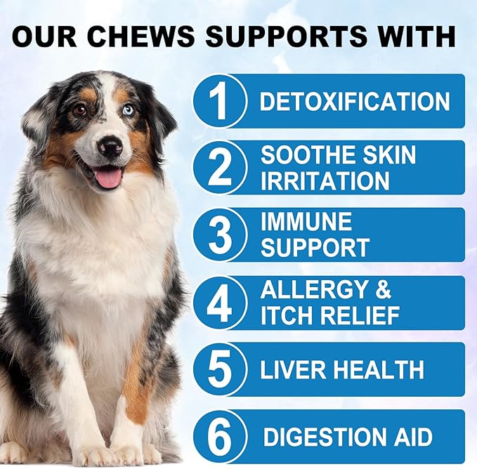 Dog Allergy Relief Chews, Itch Relief for Dogs, Allergy Relief Dog Treats w/Omega 3 + Pumpkin + Enzymes, Anti Itch Support & Hot Spots, Skin & Coat Immune Health Supplement for Dogs