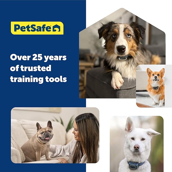 PetSafe NanoBark Collar - World's Smallest Bark Collar for Small Dogs, 10 Levels of Static Stimulation, Waterproof and Rechargeable Anti-Bark Training, Comfortable and Low-Profile Design