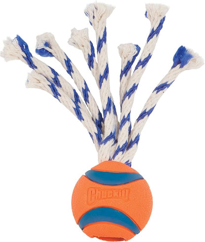 Chuckit Ultra Toss Dog Toy, Small Indoor and Outdoor Dog Toy for Dogs 0-20 Pounds