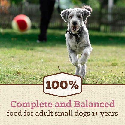 NUTRO MAX Adult Mini Chunk Recipe Dry Dog Food With Farm-Raised Chicken, 25 LB Bag