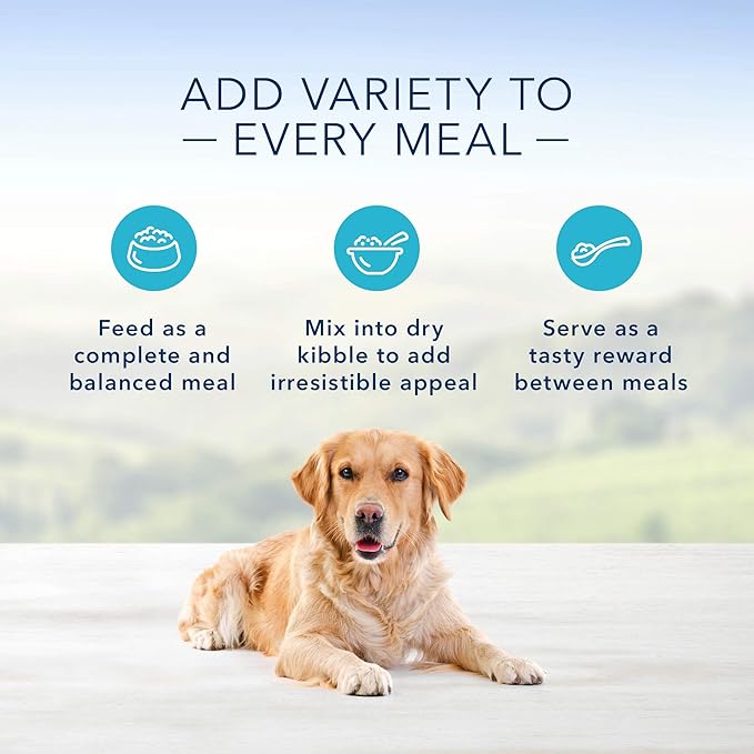 Blue Buffalo Homestyle Recipe Natural Adult Wet Dog Food, Chicken 12.5 oz cans (Pack of 12)