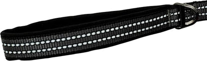Franklin Pet Supply Nylon Dog Leash – Reflective – Comfort Fit – Neoprene Handle – 6 Foot – Dog Training – Walking – Black