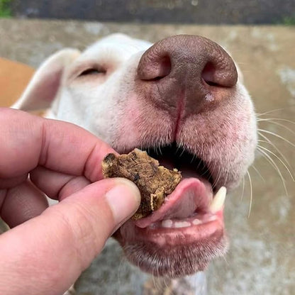 Beef Dog Treats – Made in USA Only – All Natural, Meaty Beef Tips – Premium Slow Roasted American Beef – Grass Fed, Farm Raised – Crunchy, Grain Free Training Treat, 8 Ounces