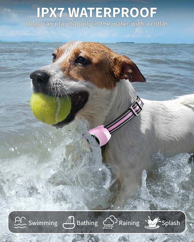 Dog Shock Collar for 2 Dogs, Dog Training Collar with Remote for Large Medium Small Dogs, Rechargeable E-Collar Waterproof Collars with 3 Training Modes, Range up to 3300Ft-Pink