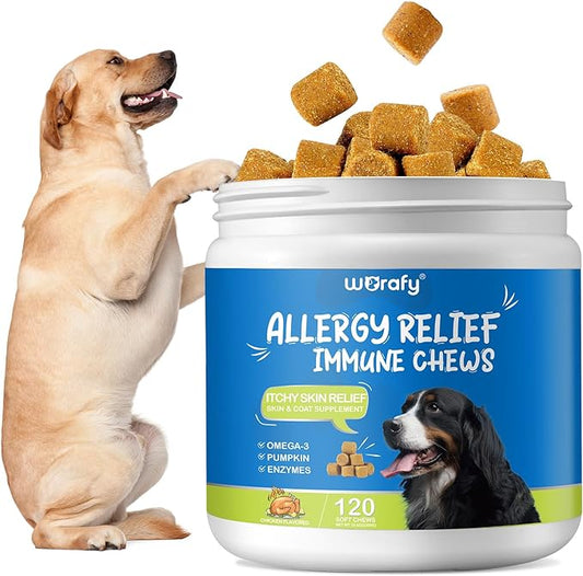 Dog Allergy Relief Chews for All Ages All Breeds - cgify 120 Soft Chews for Dog Itch Relief, Immune Chews, Skin & Coat Supplement, Omega 3 Fish Oil Probiotics for Dogs (Chicken Flavored)
