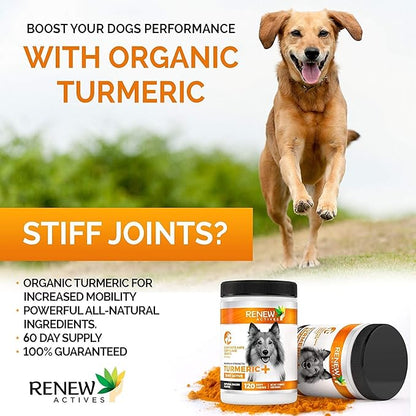 Renew Actives Organic Turmeric Joint Supplement for Dogs - Advanced Canine Support for Hip, Joint & Cartilage Health - Natural Mobility Formula with 120 Chewable Soft Treats