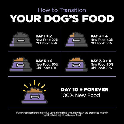 GO! SOLUTIONS Carnivore Grain Free Dog Food for Senior Dogs, 12 lb – Chicken, Turkey + Duck Recipe – Protein Rich Dry Dog Food – Complete + Balanced Nutrition for Senior Dogs