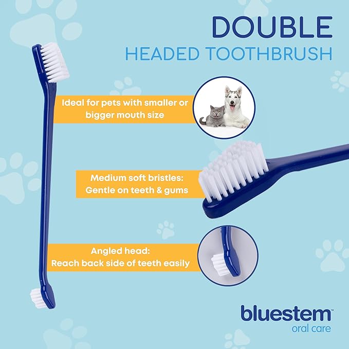 Bluestem Dog & Cat Toothbrush and Toothpaste Kit - Dog and Cat Toothpaste with Coactiv+ Technology to Reduce Tartar Buildup - Sticky and Long-Lasting Cat and Dog Toothpaste - Chicken Flavor