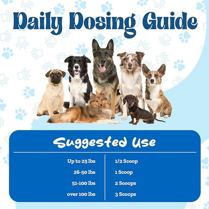 PAWZ Probiotic Powder for Dogs - 90 Scoops Steak Flavor - Promotes Gut Health and Digestion - Probiotics Supplement Support Immune System & Skin and Coat Health - Suitable for All Types of Dogs