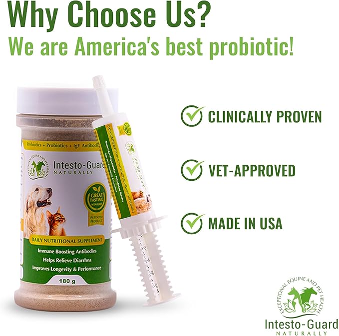 Powder Prebiotic Probiotics for Dogs & Cats Bowel Digestive Immune Support Supports Gut Flora Nutrition Immunity 180G Bottle - 90 Scoops (Powder)