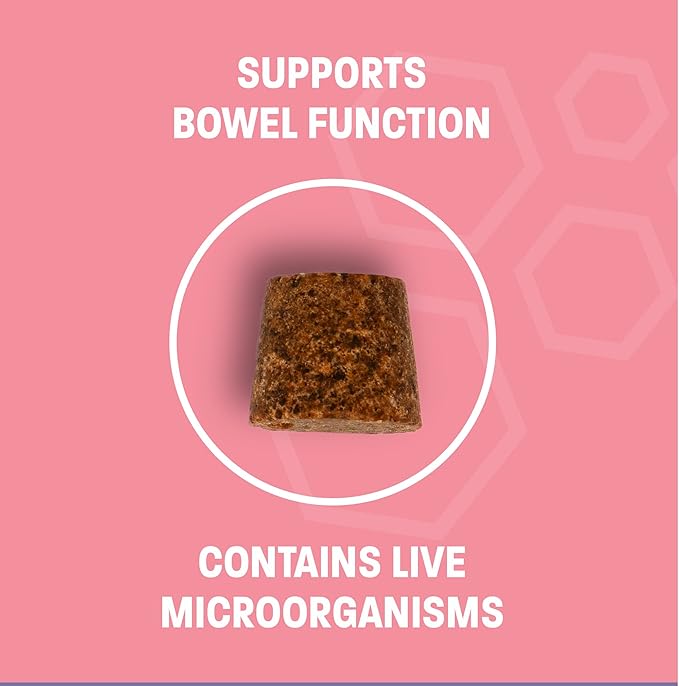 Dog Probiotic Chews for Dogs - Support Healthy Digestion Dog Probiotics and Digestive Enzymes for Gut Health for Dogs - for Traveling, Kenneling and Training - Small/Medium Dog - 30 ct