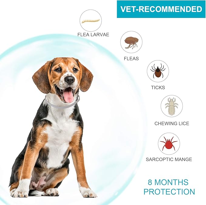 Flea and Tick Collar for Dogs,2 Pack,Natural Flea and Tick Prevention for Dogs,8 Months Protection,One Size Fits All Dogs,Adjustable & Waterproof,Include Flea Comb