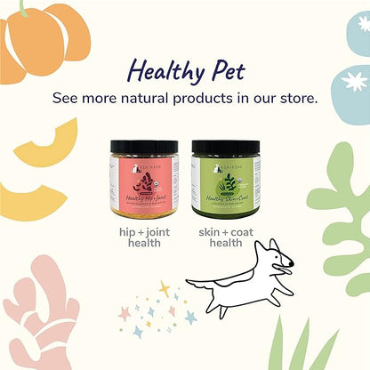 kin+kind Organic Pumpkin Powder for Dogs & Cats for Healthy Poop - Made in USA - Natural Pumpkin Powder Formula w/Flax Seed, Ginger, Turmeric & Coconut - Nutritional Supplement - Small 4oz
