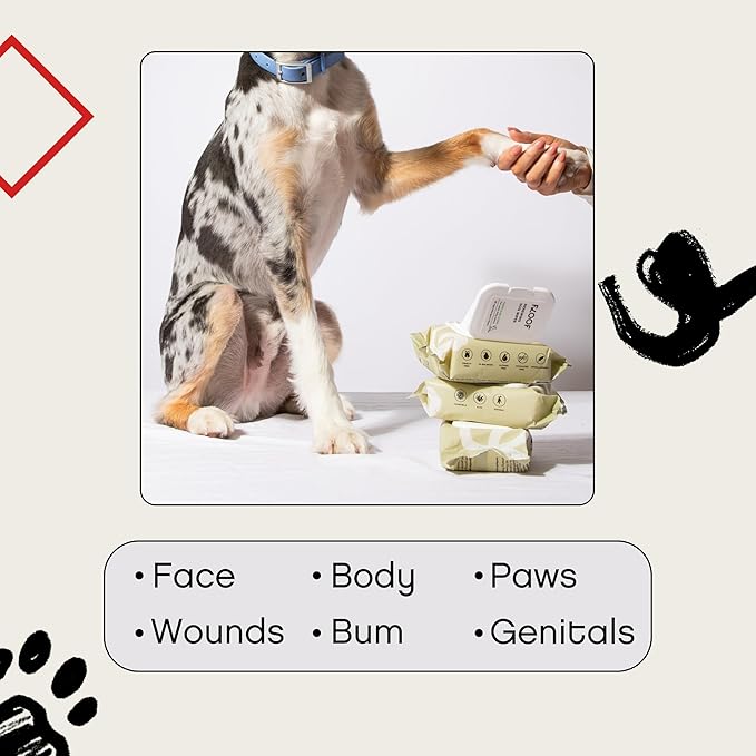 Renewing Aloe and Bamboo Dog Wipes by Floof - Cleansing, Moisturizing, Hypoallergenic Wipes for Paws, Face, Body | Natural Fragrance | Safe for All Breeds | Vet Dermatologist Formulated | 30 Wipes (1)