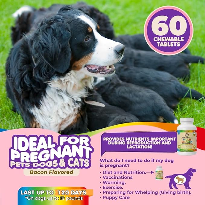 Prenatal Dog Vitamins – Multivitamin for Dogs and Cats with Folic Acid, Minerals and Amino Acids. Ideal for Pregnant, Breast Feeding and Newborn Pets – Senior Dog Supplement, Complete Puppy Vitamins.