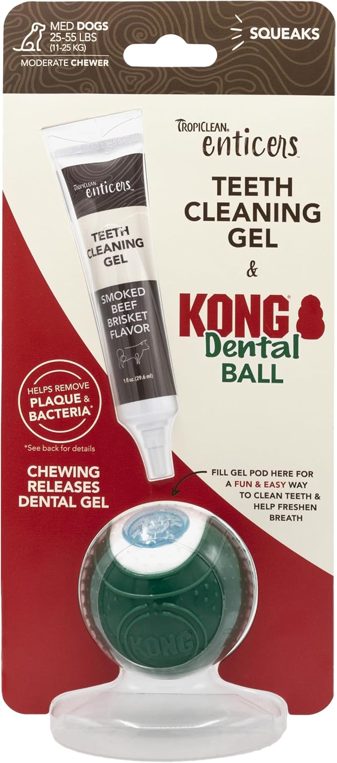 TropiClean Enticers Kong Dental Ball Kit for Medium Dogs | Teeth Cleaning Gel | Smoked Beef Brisket Flavor | 1 oz.