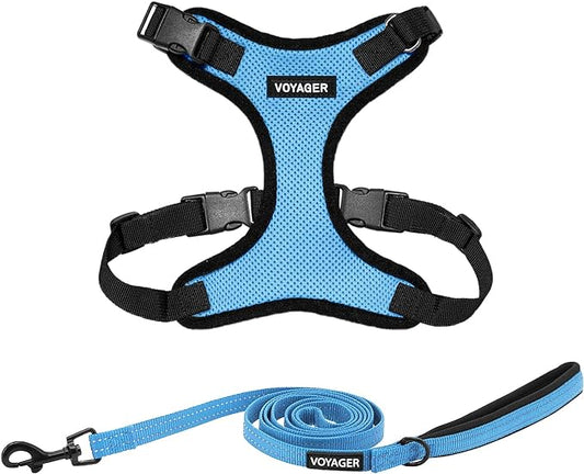 Voyager Step-in Lock Dog Harness w Reflective Dog Leash Combo Set with Neoprene Handle 5ft - Supports Small, Medium and Large Breed Puppies/Cats by Best Pet Supplies - Baby Blue/Black Trim, M
