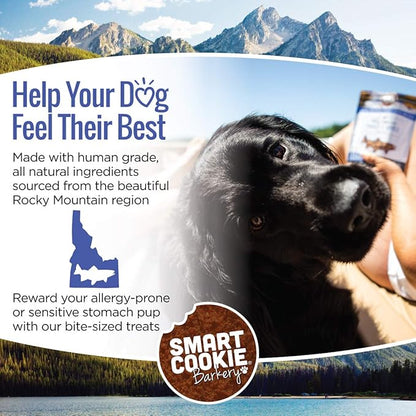 All Natural Dog Treats - Trout & Apple - Training Treats for Dogs with Allergies, Sensitive Stomachs - Soft Dog Treats, Grain Free, Chewy, Human-Grade, Made in USA - 5oz, Pack of 3