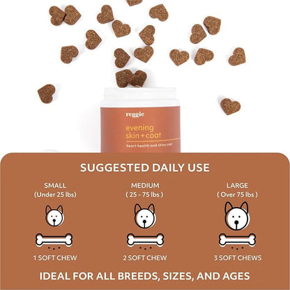 Reggie Evening Skin + Coat Supplements for Dogs | Relieves Itchy/Dry/Flaky Skin & Shedding | Made in The USA, Vet-Approved & Ideal for All Ages, Breeds, and Sizes - 60 Soft Chews